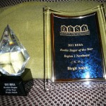 Birgit Anich Rookie Stager of the Year 2011 | I won 2 awards