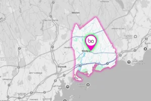 Home Stager in Westport BA Staging & Interiors