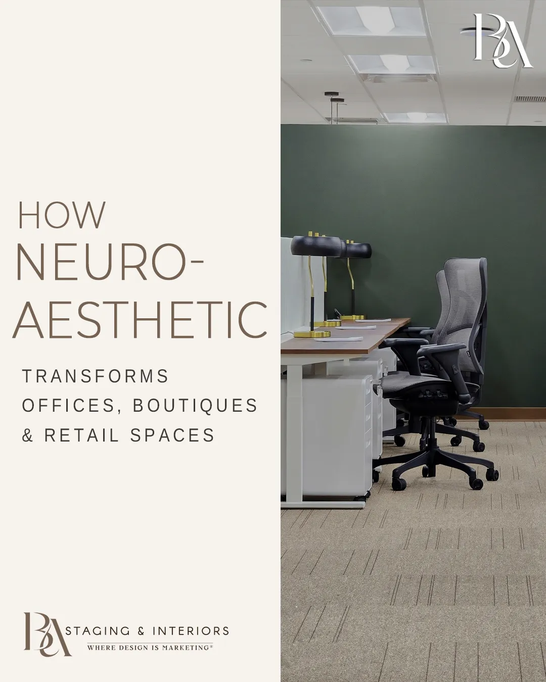 Neuroaesthetic Design Transforms Offices, Boutiques & Retail Spaces